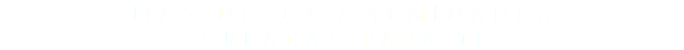 MÁS DE 12 AMENIDADES CREADAS PARA TI